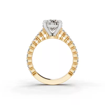 Signature Hearts & Arrows Shared Prong Cathedral Lab Engagement Ring (1/2ct. tw.)