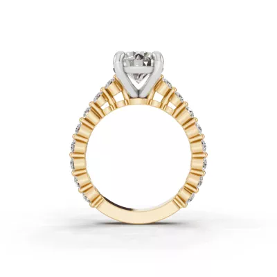 Signature Hearts & Arrows Shared Prong Cathedral Lab Engagement Ring (.70ct. tw.)