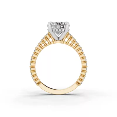 Signature Hearts & Arrows Shared Prong Hidden Halo Cathedral Lab Engagement Ring (.35ct. tw.)