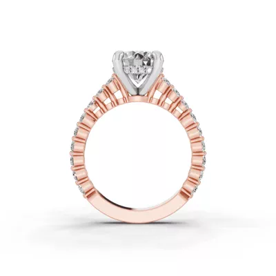 Signature Hearts & Arrows Shared Prong Hidden Halo Cathedral Lab Engagement Ring (.60ct. tw.)