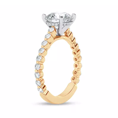 Signature Hearts & Arrows Shared Prong Hidden Halo Cathedral Lab Engagement Ring (.60ct. tw.)