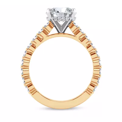 Signature Hearts & Arrows Shared Prong Hidden Halo Cathedral Lab Engagement Ring (.60ct. tw.)