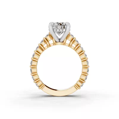 Signature Hearts & Arrows Shared Prong Hidden Halo Cathedral Lab Engagement Ring (.80ct. tw.)