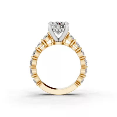 Signature Hearts & Arrows Shared Prong Hidden Halo Cathedral Lab Engagement Ring (1.05ct. tw.)