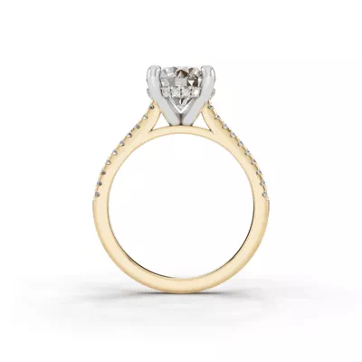 Signature Hearts & Arrows Classic Hidden Halo Cathedral Lab Engagement Ring (1/4ct. tw.)