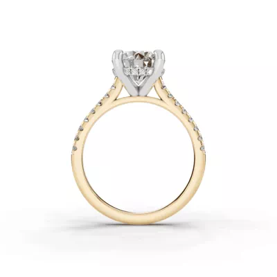 Signature Hearts & Arrows Classic Hidden Halo Cathedral Lab Engagement Ring (.30ct. tw.)