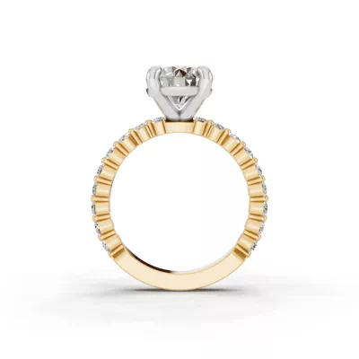 Signature Hearts & Arrows Shared Prong Engagement Ring (1/2ct. tw.)