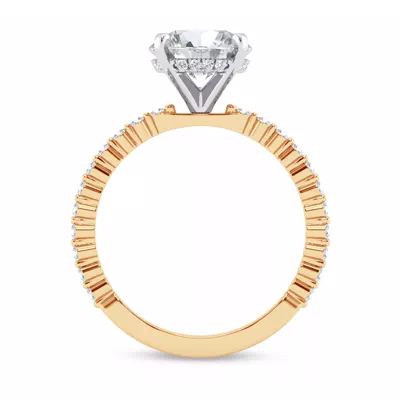 Signature Hearts & Arrows Hidden Halo Shared Prong Engagement Ring (1/3ct. tw.)