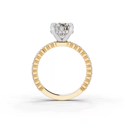 Signature Hearts & Arrows Hidden Halo Shared Prong Engagement Ring (1/3ct. tw.)