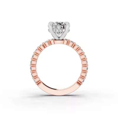 Signature Hearts & Arrows Hidden Halo Shared Prong Engagement Ring (.60ct. tw.)