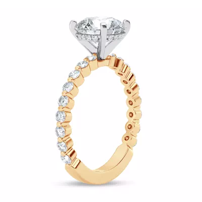 Signature Hearts & Arrows Hidden Halo Shared Prong Engagement Ring (.60ct. tw.)