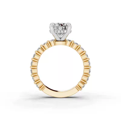 Signature Hearts & Arrows Hidden Halo Shared Prong Engagement Ring (.80ct. tw.)