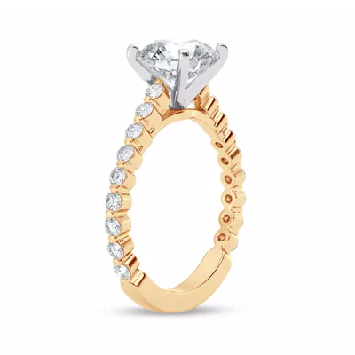 Signature Hearts & Arrows Shared Prong Cathedral Engagement Ring (1/2ct. tw.)