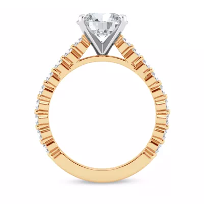 Signature Hearts & Arrows Shared Prong Cathedral Engagement Ring (1/2ct. tw.)