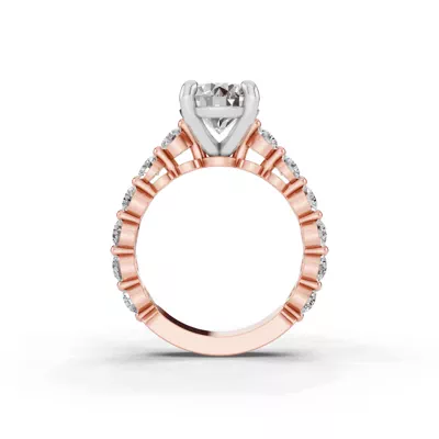 Signature Hearts & Arrows Shared Prong Cathedral Engagement Ring (.95ct. tw.)