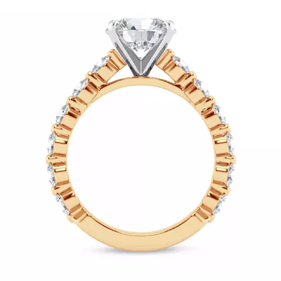 Signature Hearts & Arrows Shared Prong Cathedral Engagement Ring (.95ct. tw.)
