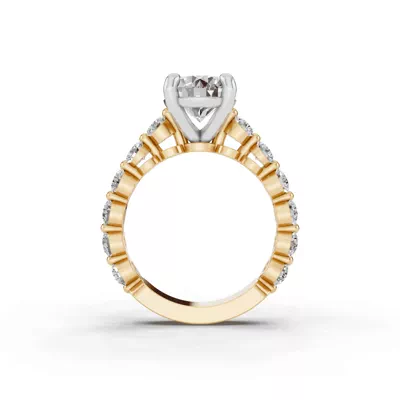 Signature Hearts & Arrows Shared Prong Cathedral Engagement Ring (.95ct. tw.)