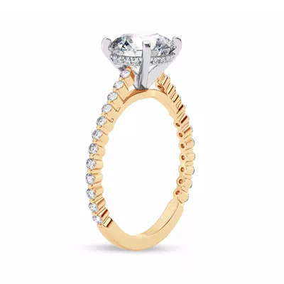 Signature Hearts & Arrows Shared Prong Hidden Halo Cathedral Engagement Ring (.35ct. tw.)