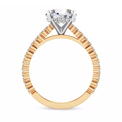 Signature Hearts & Arrows Shared Prong Hidden Halo Cathedral Engagement Ring (.35ct. tw.)