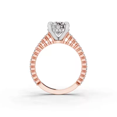 Signature Hearts & Arrows Shared Prong Hidden Halo Cathedral Engagement Ring (.35ct. tw.)