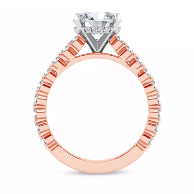 Signature Hearts & Arrows Shared Prong Hidden Halo Cathedral Engagement Ring (.60ct. tw.)