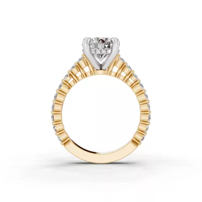 Signature Hearts & Arrows Shared Prong Hidden Halo Cathedral Engagement Ring (.60ct. tw.)