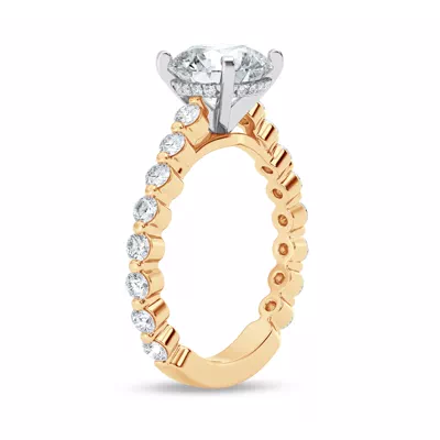 Signature Hearts & Arrows Shared Prong Hidden Halo Cathedral Engagement Ring (.80ct. tw.)