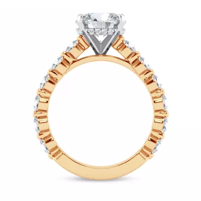 Signature Hearts & Arrows Shared Prong Hidden Halo Cathedral Engagement Ring (1.05ct. tw.)