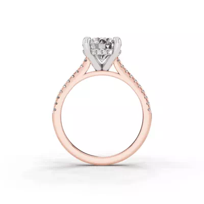 Signature Hearts & Arrows Classic Hidden Halo Cathedral Engagement Ring (1/4ct. tw.)