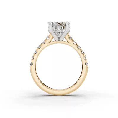 Signature Hearts & Arrows Classic Hidden Halo Cathedral Engagement Ring (.55ct. tw.)