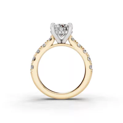 Signature Hearts & Arrows Classic Hidden Halo Cathedral Engagement Ring (1.00ct. tw.)