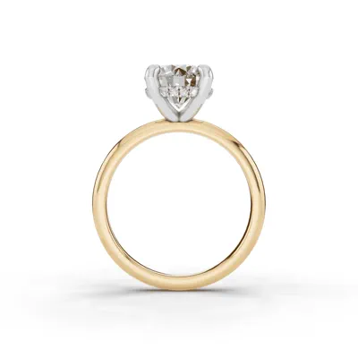 Signature Hearts & Arrows Hidden Halo Engagement Ring (2mm)