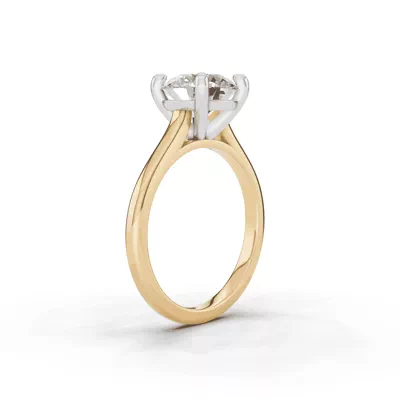 Tradition Cathedral Solitaire Engagement Ring (2mm)