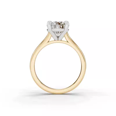 Tradition Cathedral Solitaire Engagement Ring (2mm)