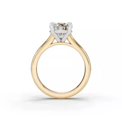 Tradition Cathedral Solitaire Engagement Ring (2.7mm)
