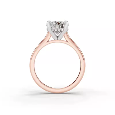 Tradition Hidden Halo Cathedral Engagement Ring (2mm)