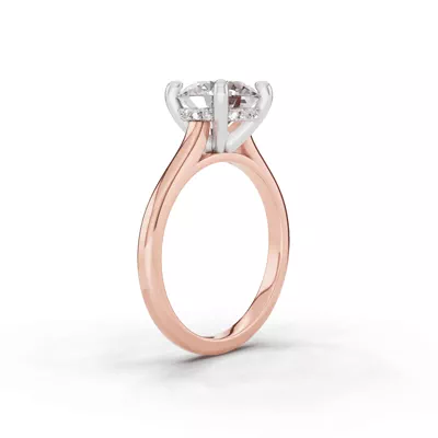 Tradition Hidden Halo Cathedral Engagement Ring (2mm)