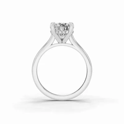 Tradition Hidden Halo Cathedral Engagement Ring (2mm)