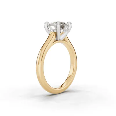 Signature Hearts & Arrows Hidden Halo Cathedral Engagement Ring (2.7mm)