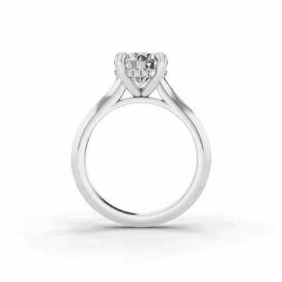 Signature Hearts & Arrows Hidden Halo Knife-Edge Cathedral Engagement Ring