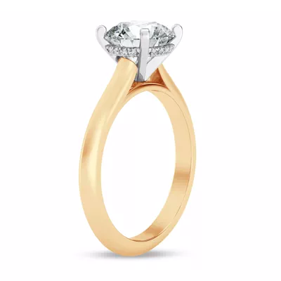 Signature Hearts & Arrows Hidden Halo Knife-Edge Cathedral Engagement Ring