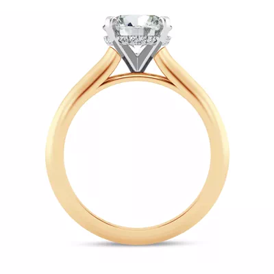 Signature Hearts & Arrows Hidden Halo Knife-Edge Cathedral Engagement Ring