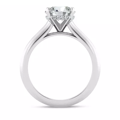 Signature Hearts & Arrows Hidden Halo Knife-Edge Cathedral Engagement Ring