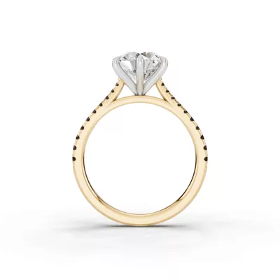 Tradition Cathedral Black Diamond Two-Tone Engagement Ring (0.20 ct. tw.)