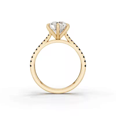 Tradition Cathedral Black Diamond Engagement Ring (0.20 ct. tw.)