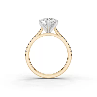 Tradition Cathedral Sapphire Two-Tone Engagement Ring (0.20 ct. tw.)