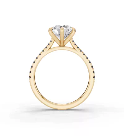 Tradition Cathedral Sapphire Engagement Ring (0.20 ct. tw.)