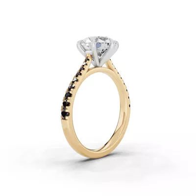Tradition Cathedral Black Diamond Two-Tone Engagement Ring (0.30 ct. tw.)