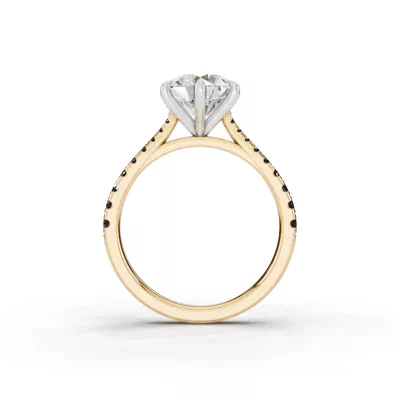 Tradition Cathedral Black Diamond Two-Tone Engagement Ring (0.30 ct. tw.)