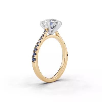 Tradition Cathedral Sapphire Two-Tone Engagement Ring (0.30 ct. tw.)